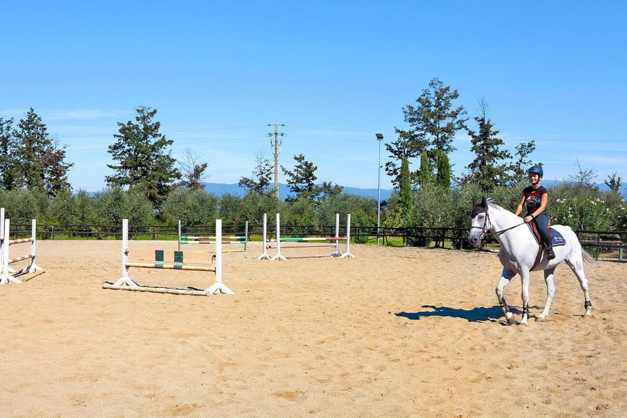 Hesse Farm Holiday Borgo Pinete Lägenhet Le Vedute Exteriör bild